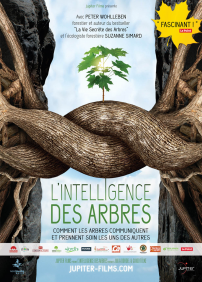 Intelligence des arbres, L’