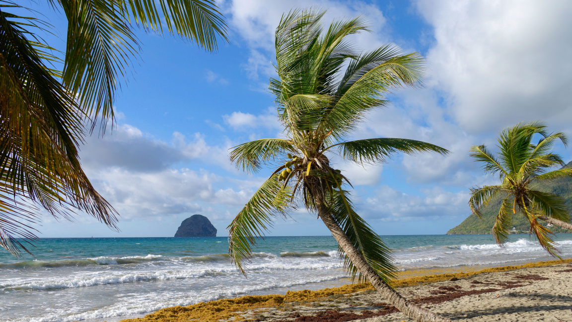MARTINIQUE ET GUADELOUPE, les îles du vent