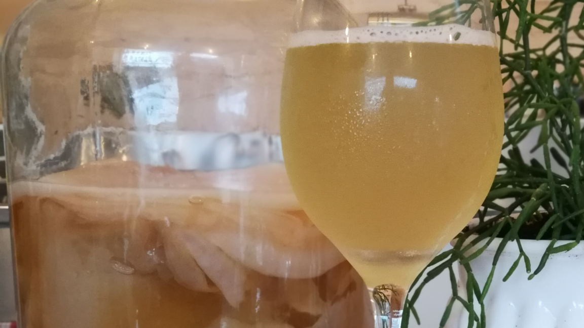 À chacun son Kombucha