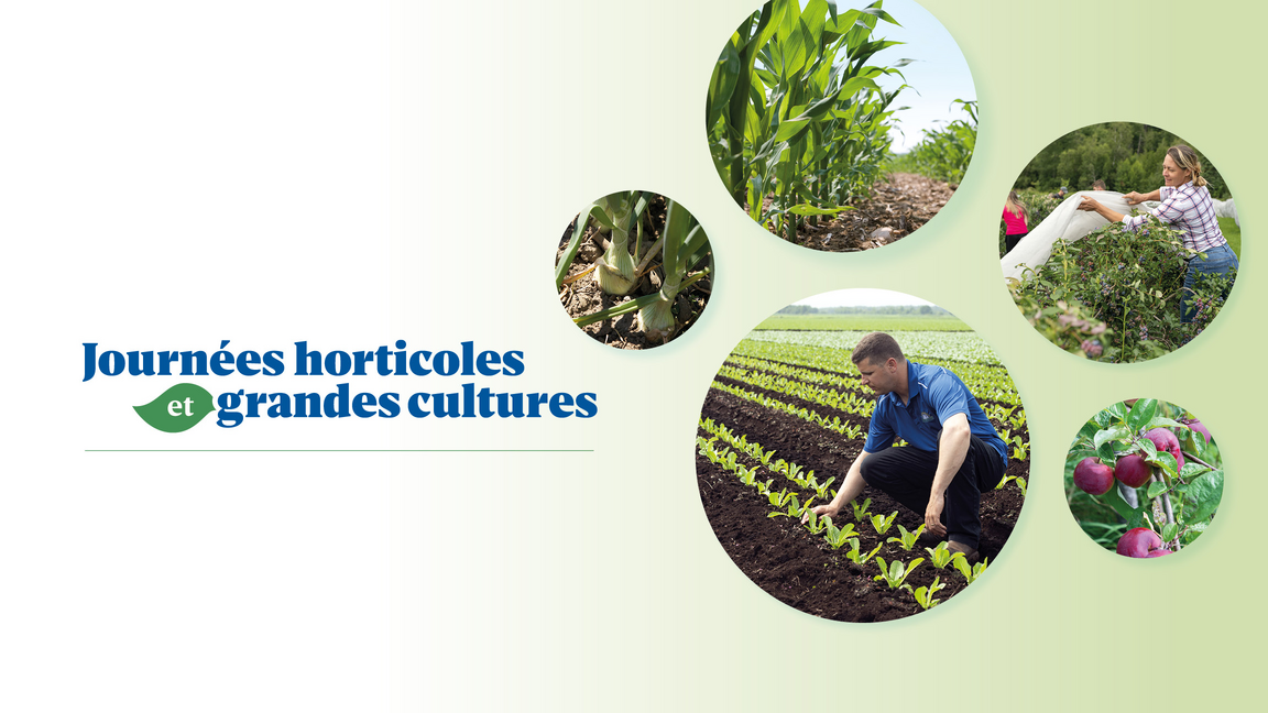 MRC des Jardins-de-Napierville
