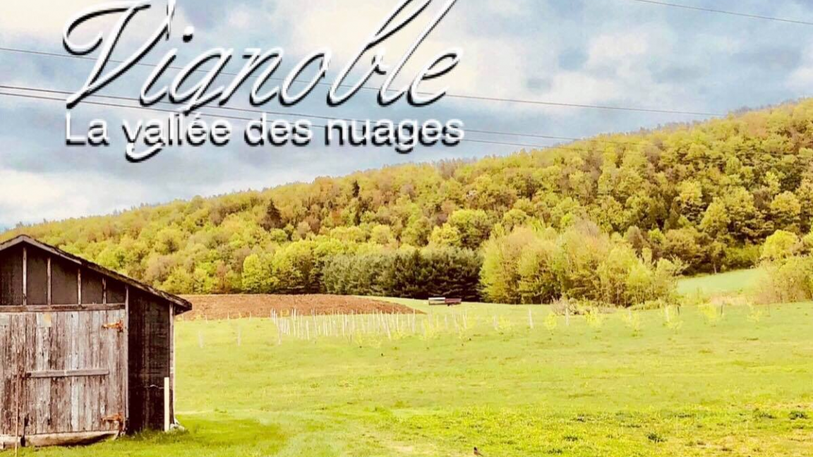 Vignoble La vallée des nuages