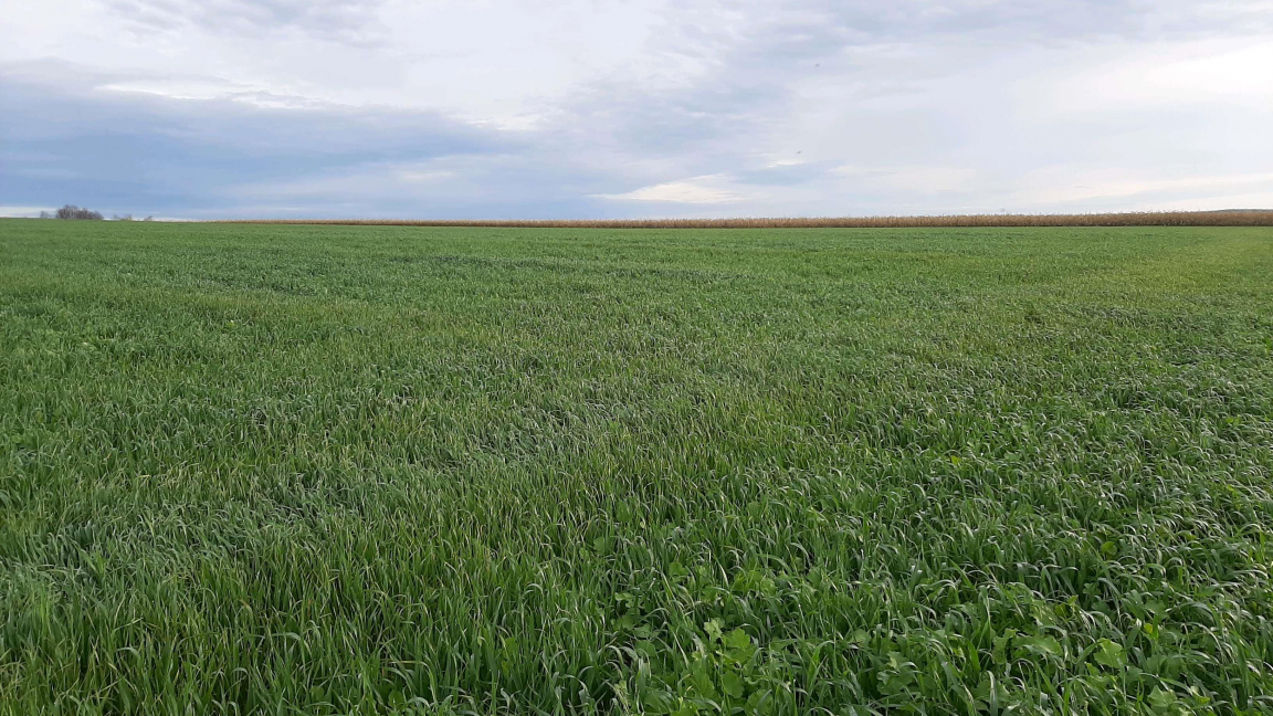 Journée Agro Estrie 2023 - Lutte intégrée