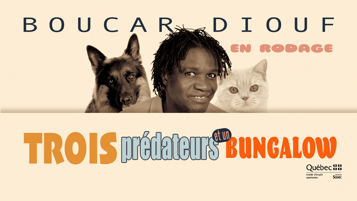 Boucar Diouf "en rodage" - Trois prédateurs et un bungalow