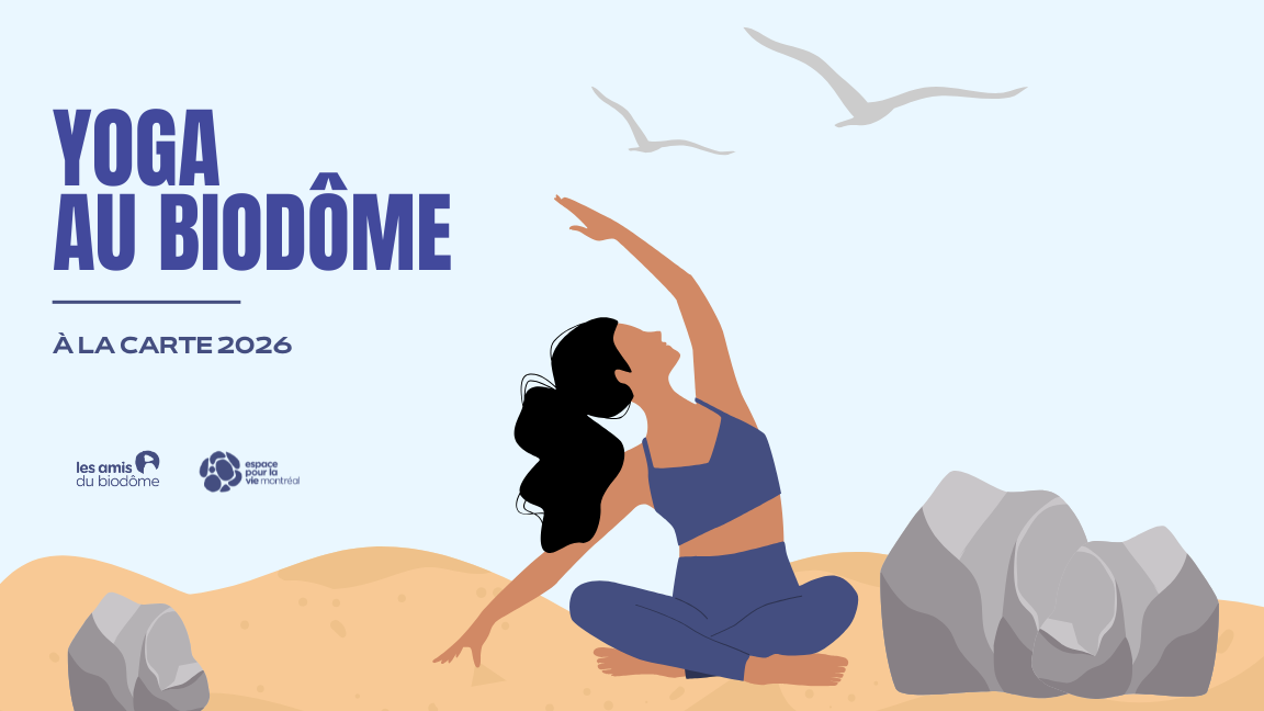 Yoga à la carte septembre - octobre 2026