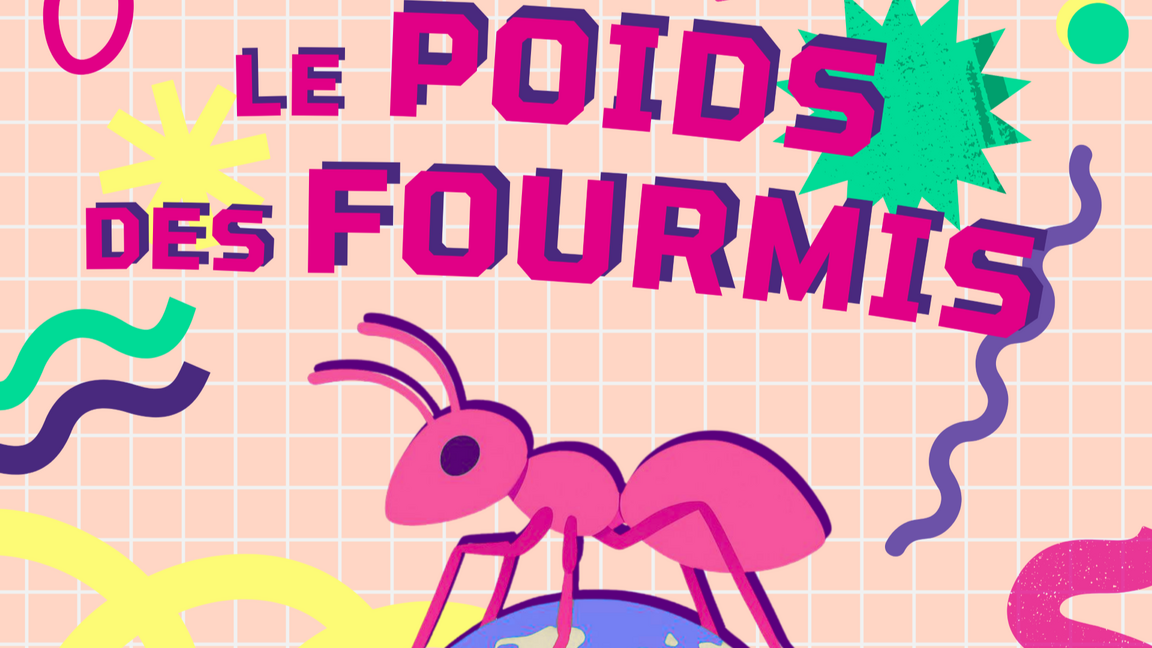 Le poids des fourmis