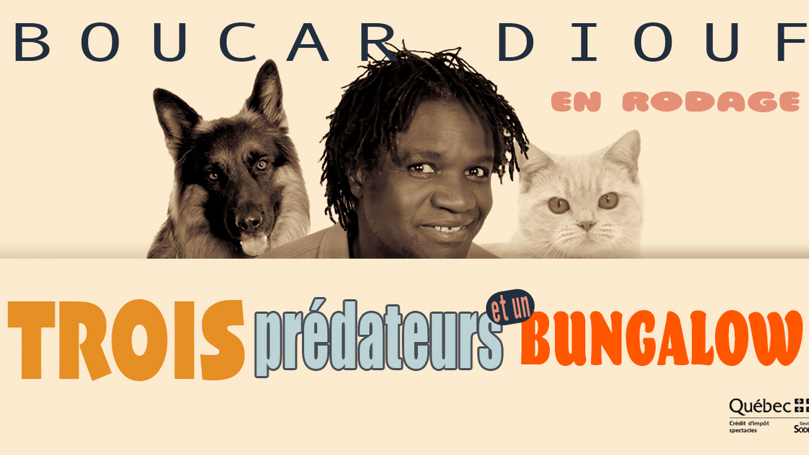 Trois prédateurs et un bungalow