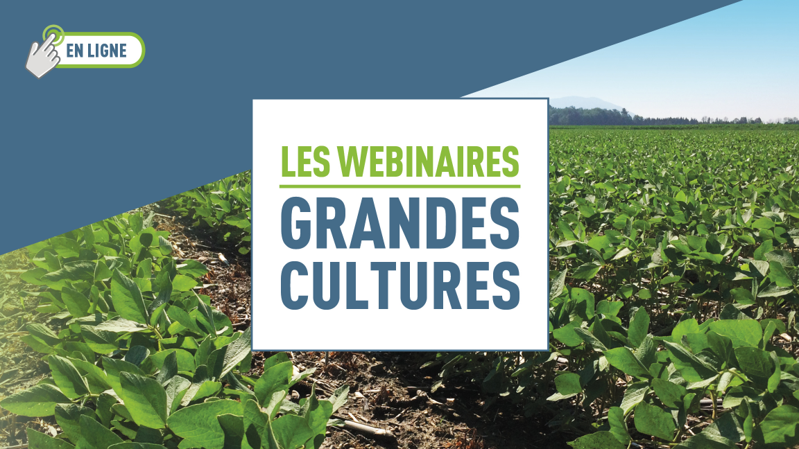 Webinaires grandes cultures