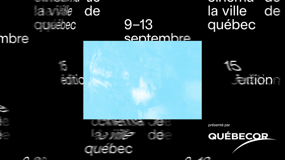 FCVQ 2026