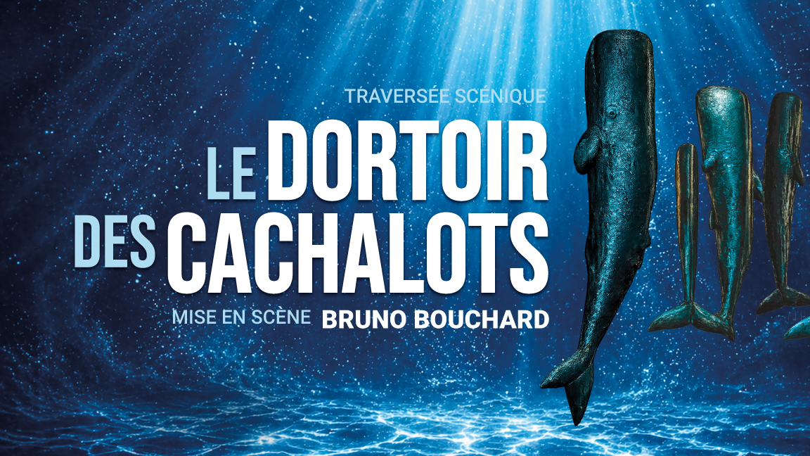 Le dortoir des cachalots