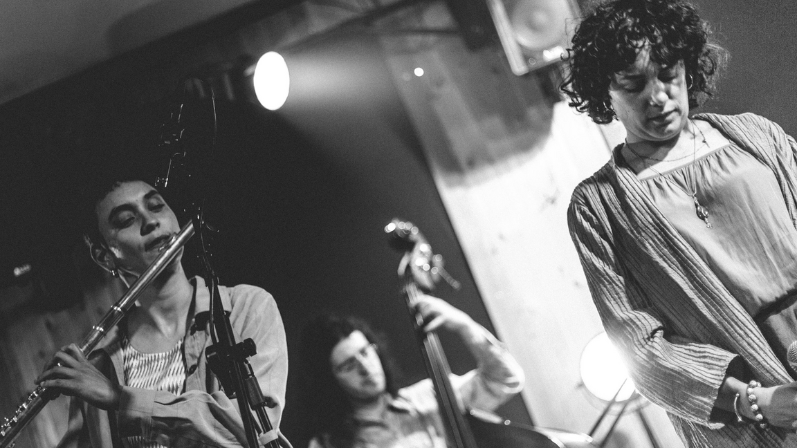 SÉRIE DÉCOUVERTE : SAPA | La SALSO