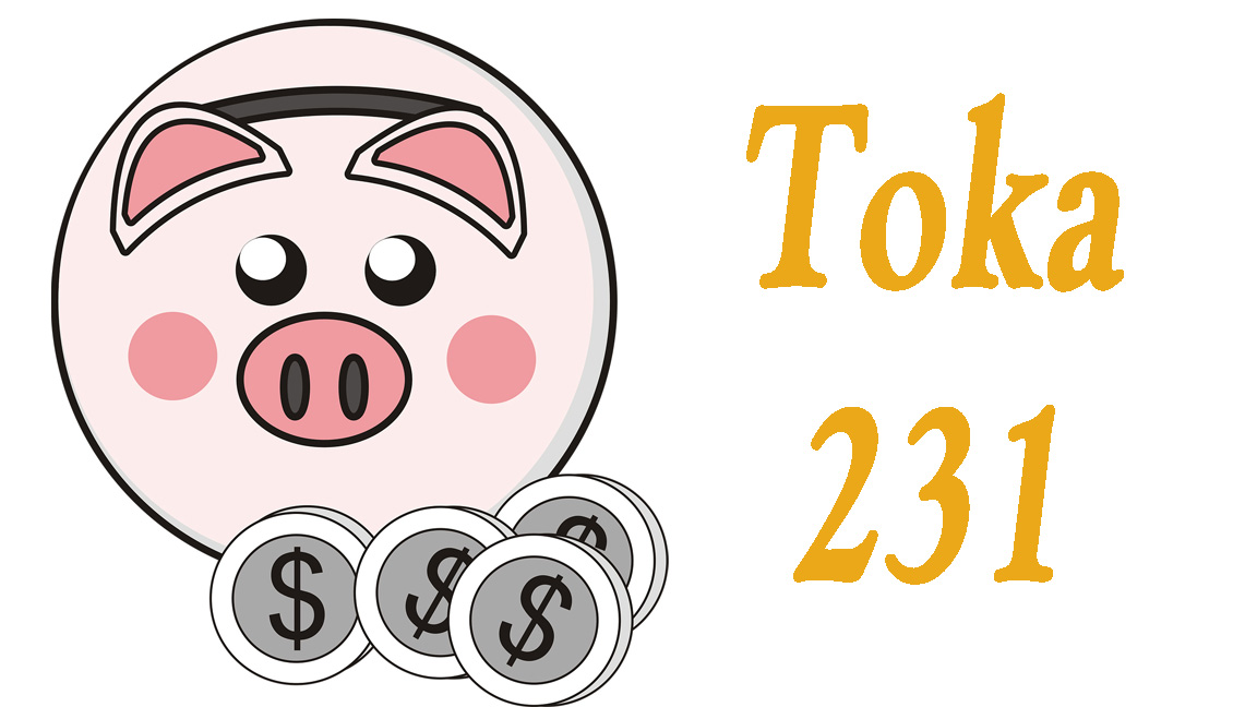 Toka_231