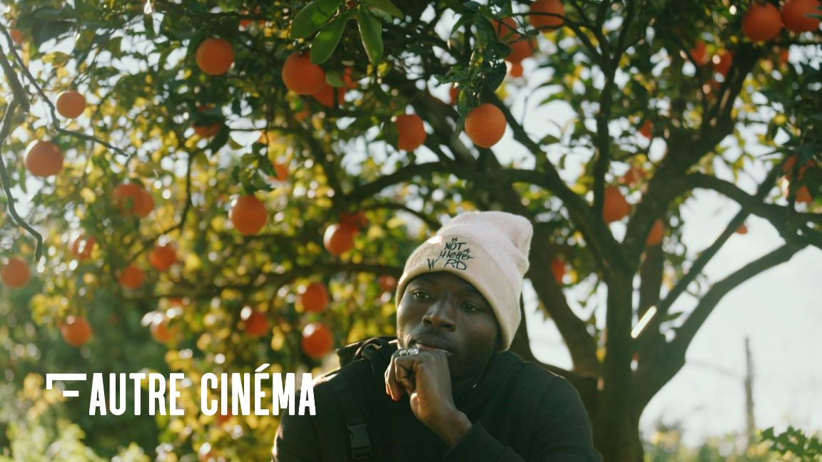 Projection | Les cueilleurs