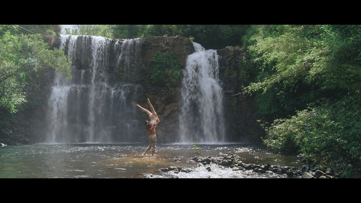 CINÉ-ART: Seasons of Dance