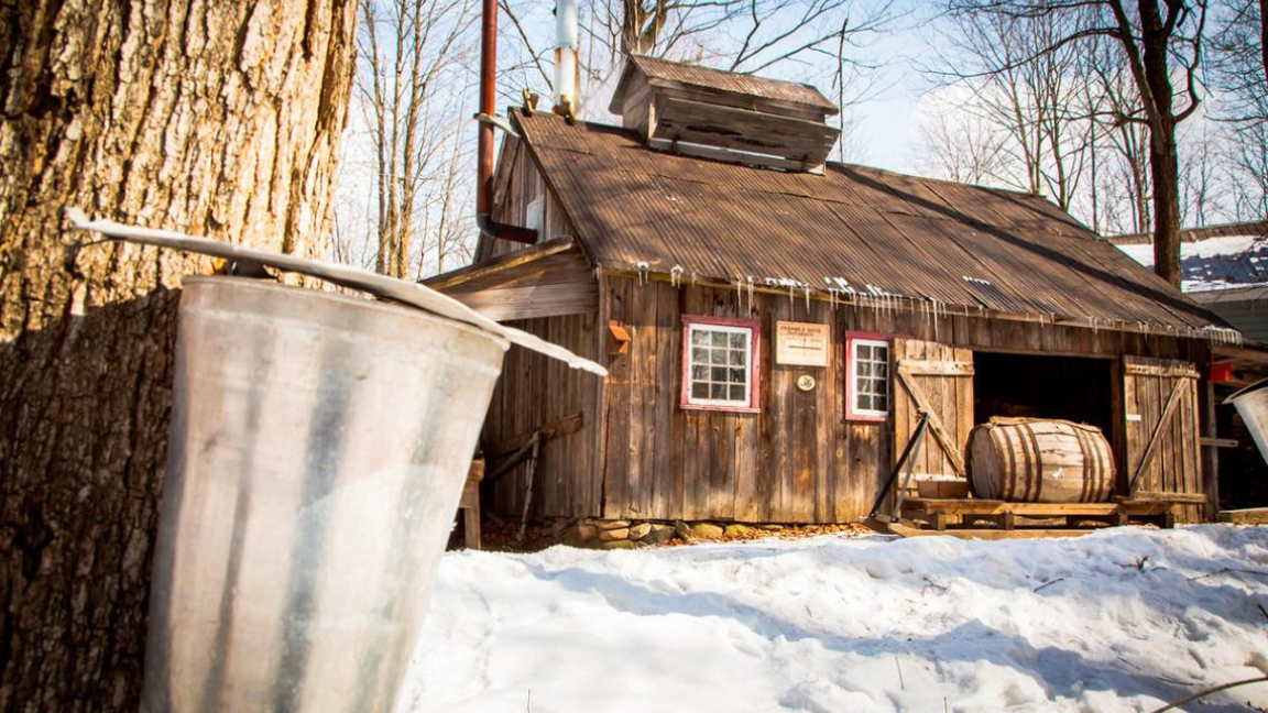 Cabane à sucre