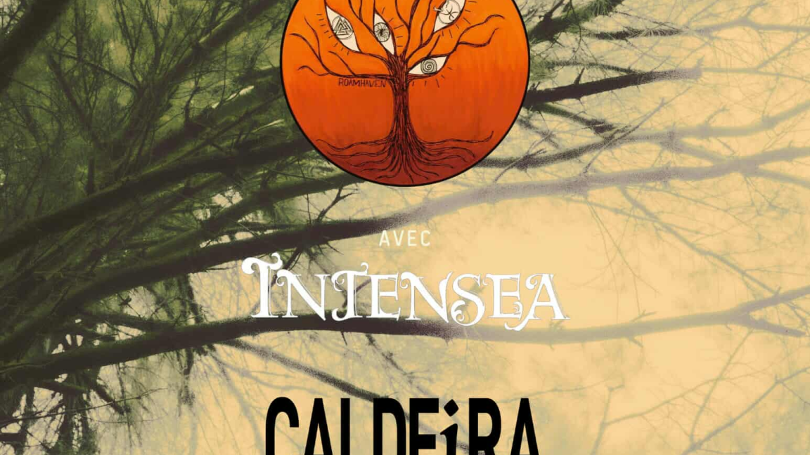Roamhaven, Intensea et Caldeira