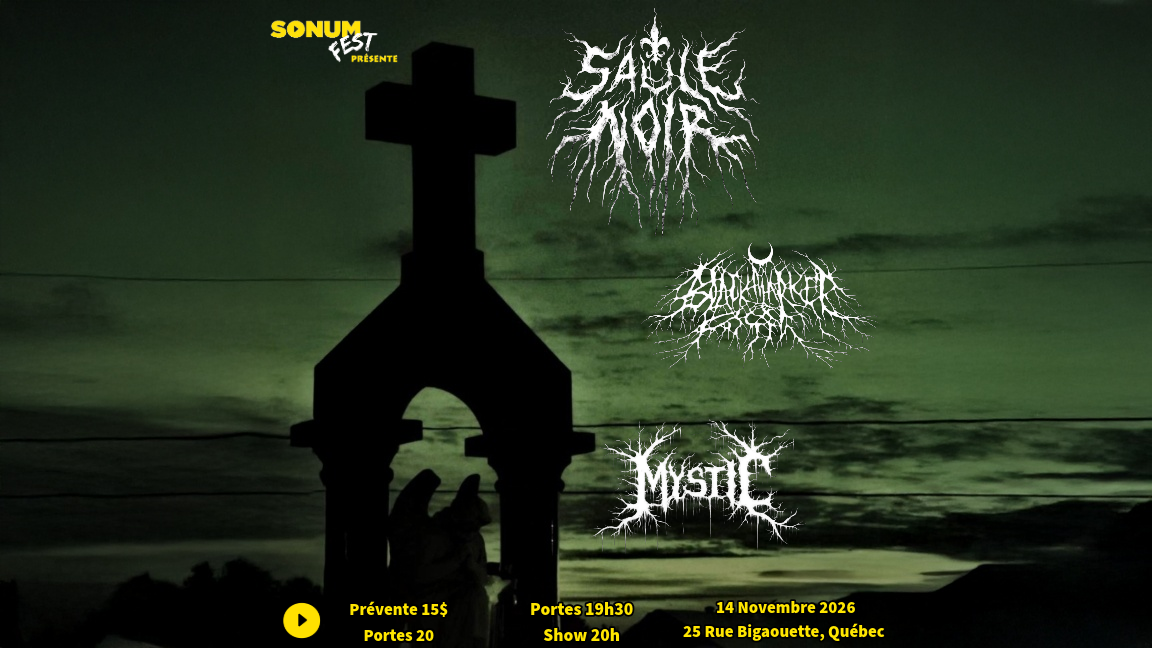 Saule Noir avec Black Market Fossil et Mystic