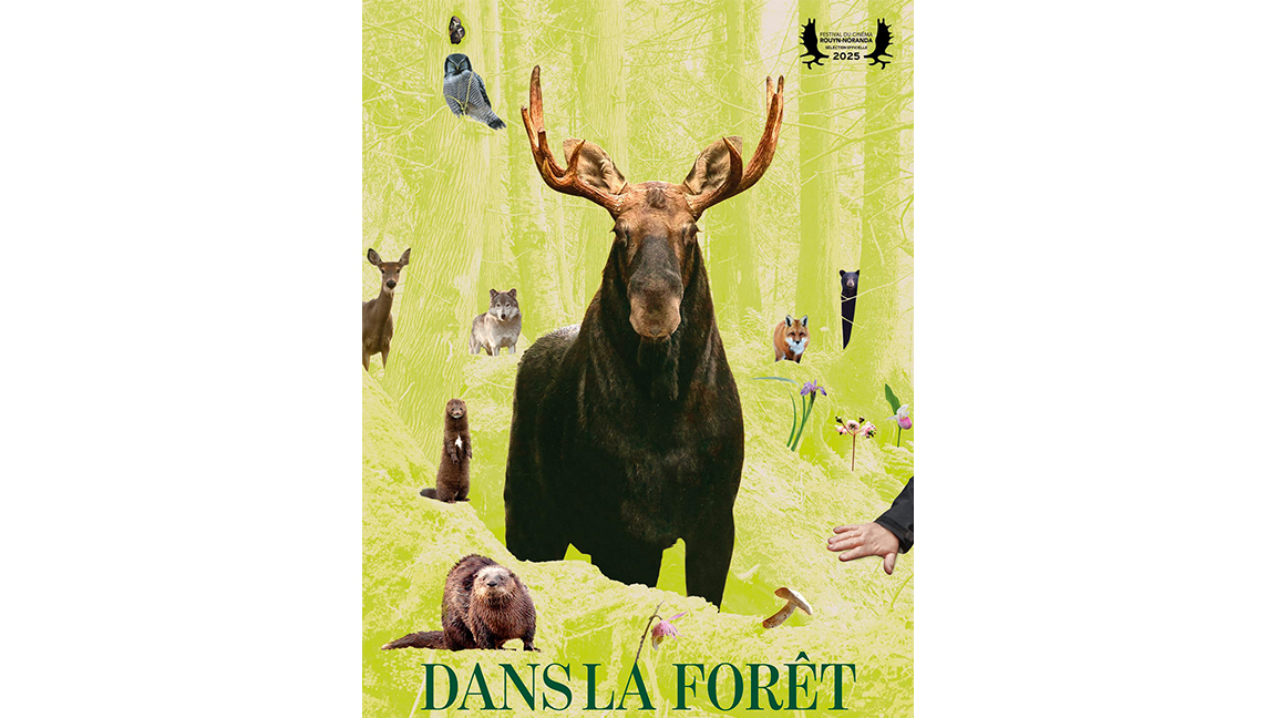 DANS LA FORÊT de Pascale Ferland