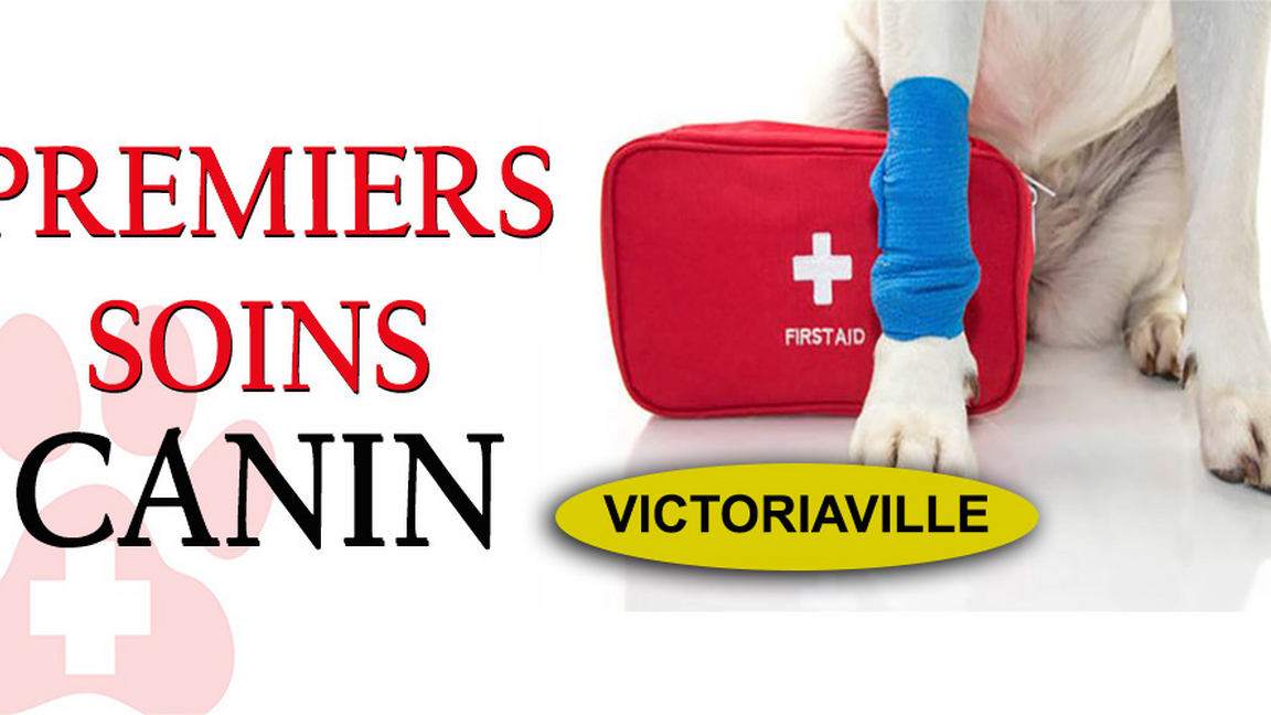 FORMATION EXCLUSIVE DE PREMIERS SOINS & RCR CANIN