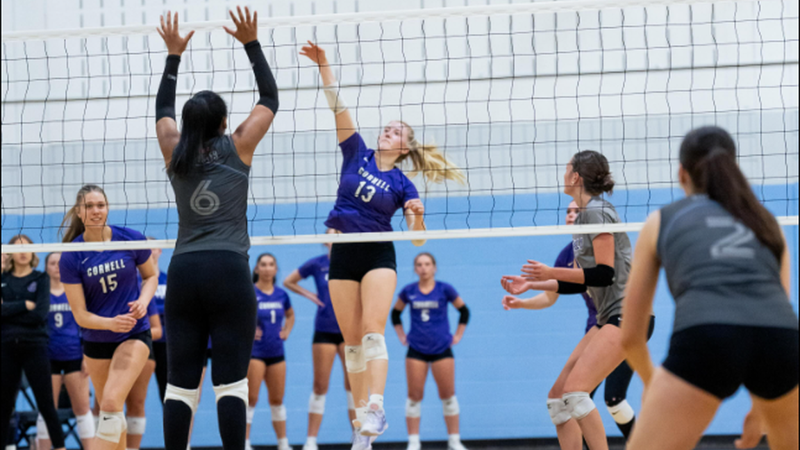 Volleyball - clinique sportive