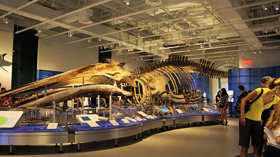Canadian Nature Museum