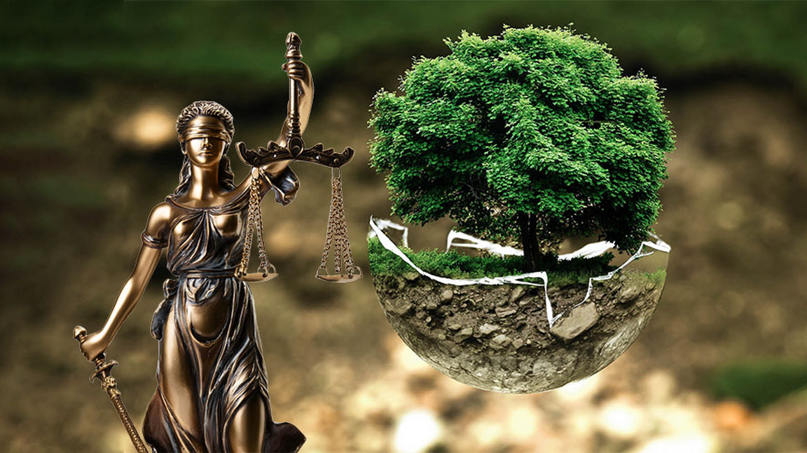 Et si la Nature avait des droits? (F-330)