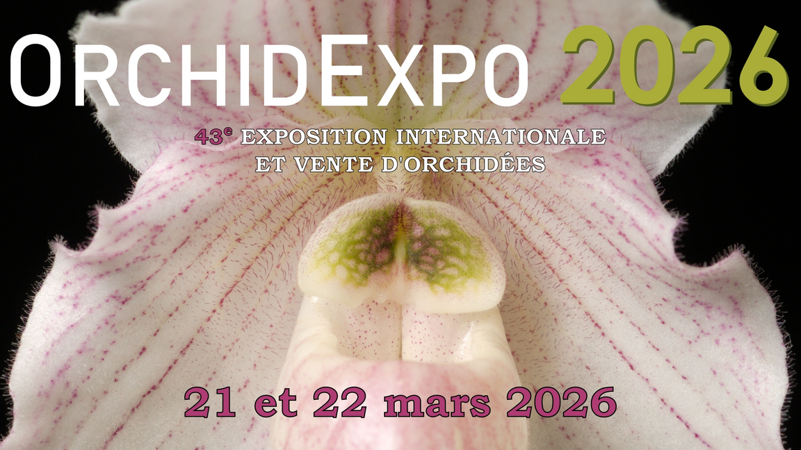 ORCHIDEXPO 2026