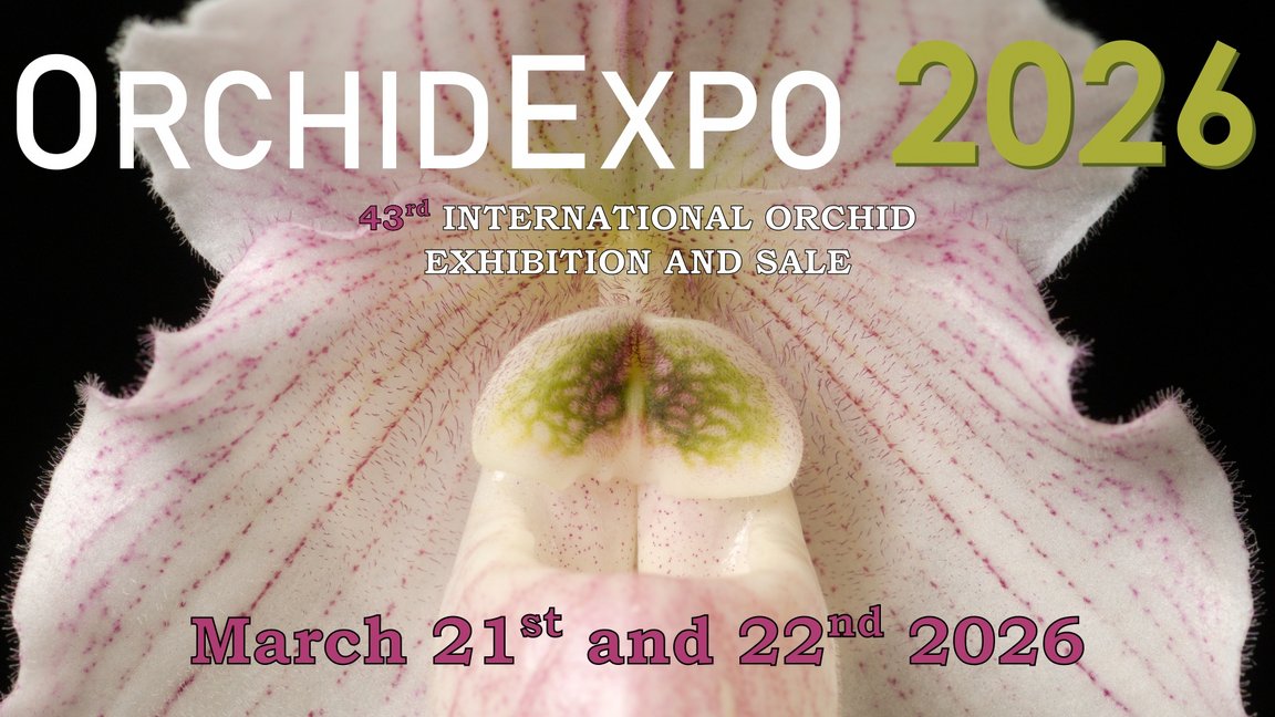ORCHIDEXPO 2026