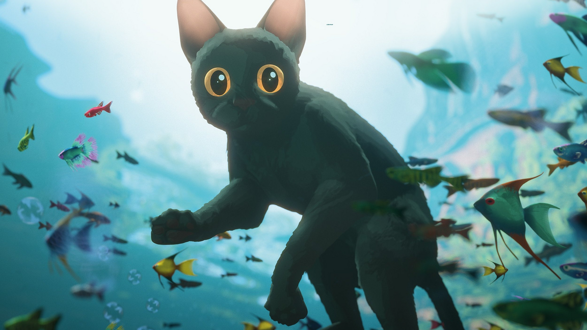 Ciné-famille La Branche - Flow, le chat qui n'avait plus peur de l'eau