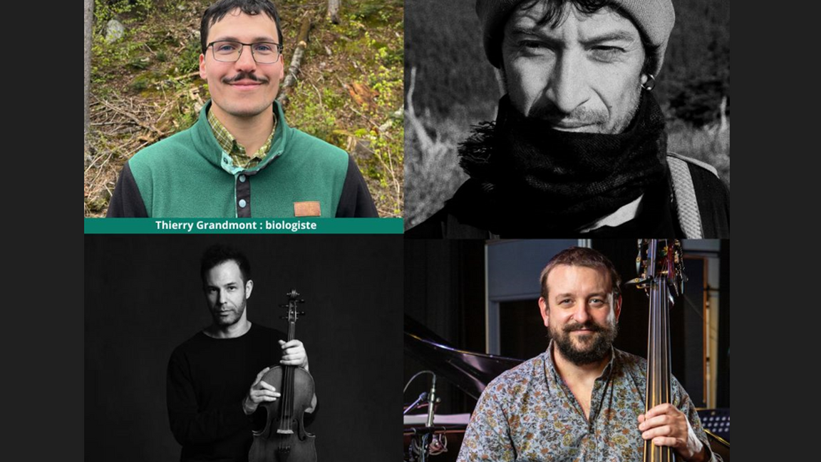 MUSIQUE ET SCIENCE : DIALOGUE AVEC LA NATURE-LES OISEAUX LIMICOLES