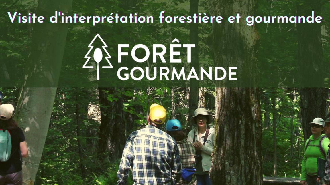 Visite d'interprétation forestière et gourmande | Formule familiale