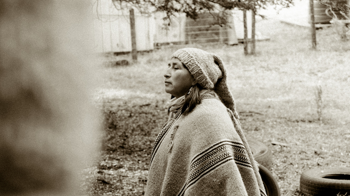 Mapuche - Le Peuple de la Terre