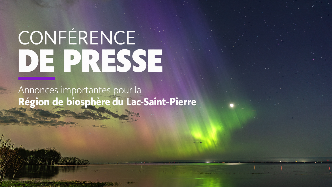 Conférence de presse