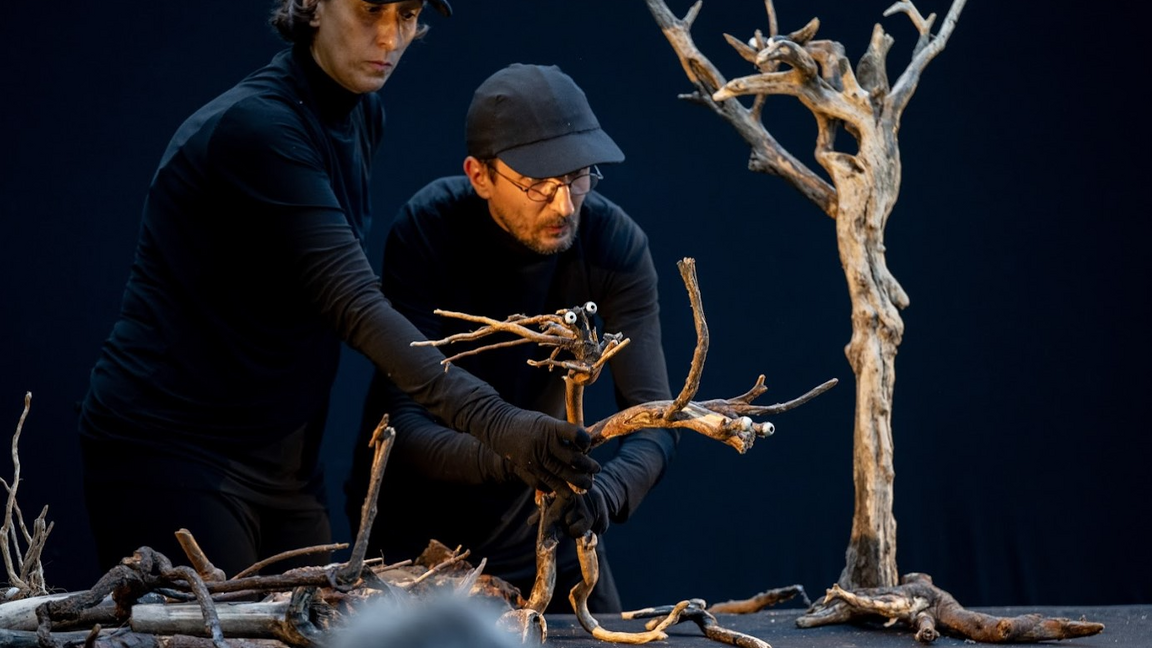 Bois - Puzzle théâtre