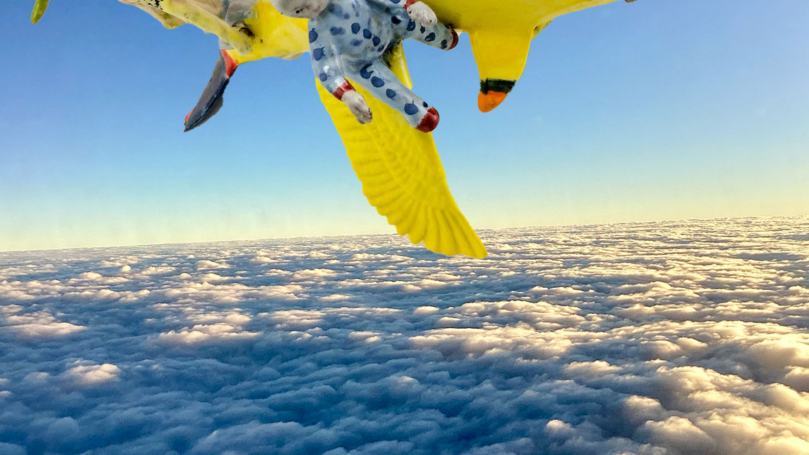 Visite guidée de l'exposition Surréalisme diasporique - Carlos Rojas