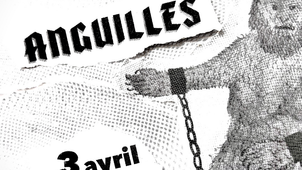 ANGUILLES + CANICHE 666