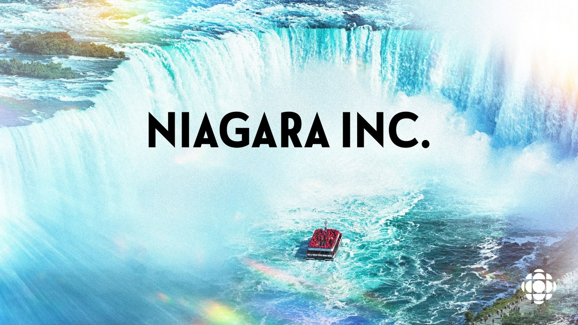 NIAGARA INC