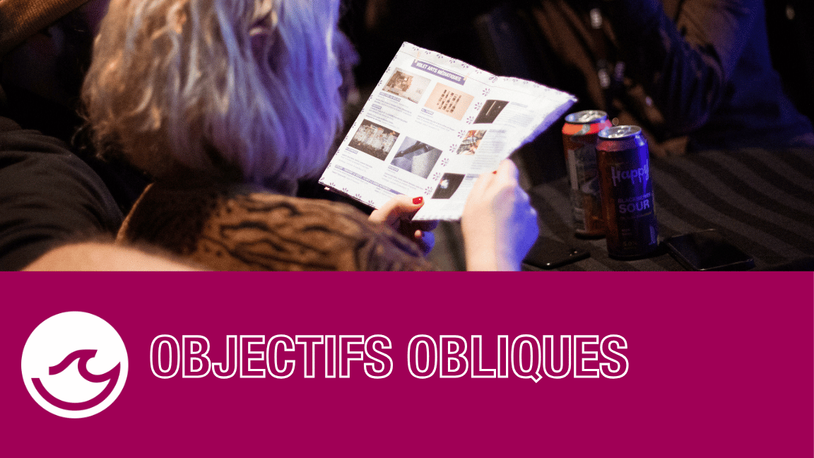 Objectifs Obliques