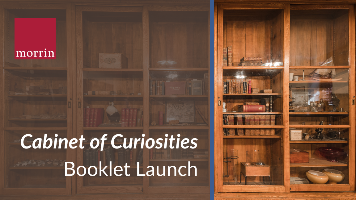 Lancement — Cabinet des curiosités