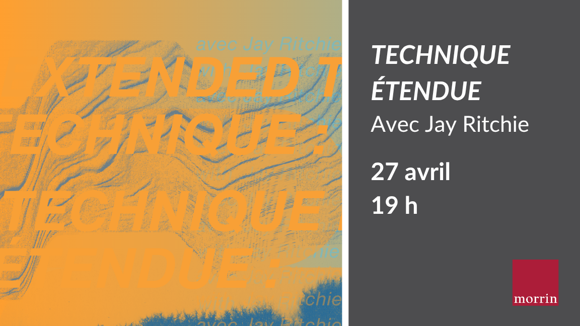 Technique étendue : expérimentation intermédiale en poésie