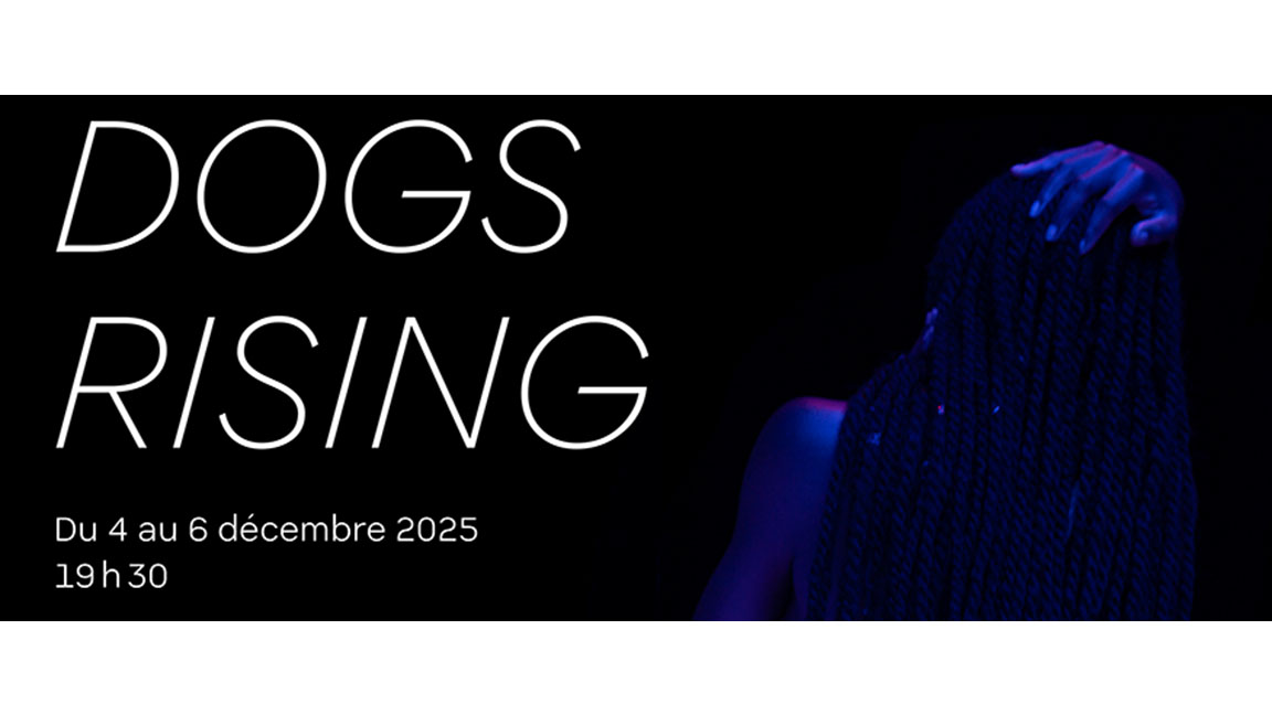 DOGS RISING - Spectacle de fin de session | Soirée des 40 ans