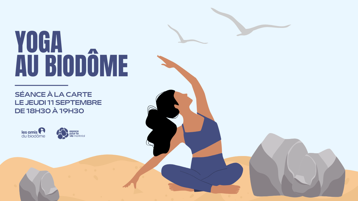 Yoga à la carte - 11 septembre 2025