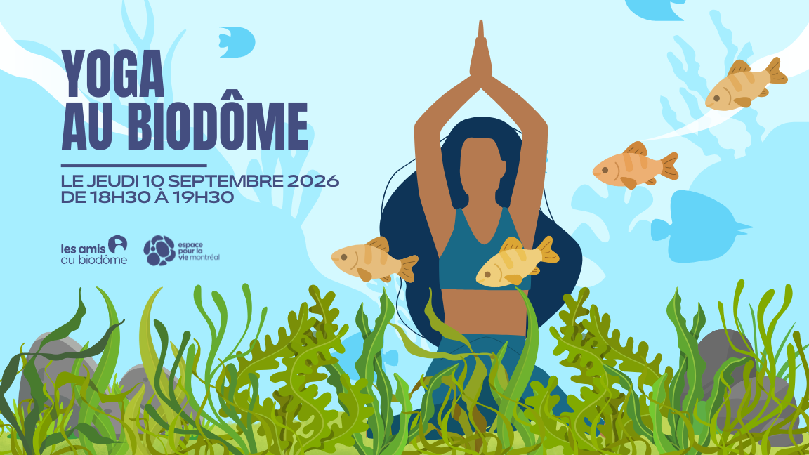 Yoga à la carte - 10 septembre 2026