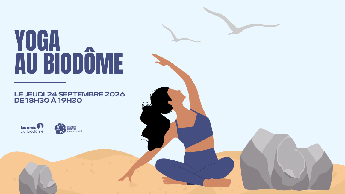 Yoga à la carte - 24 septembre 2026