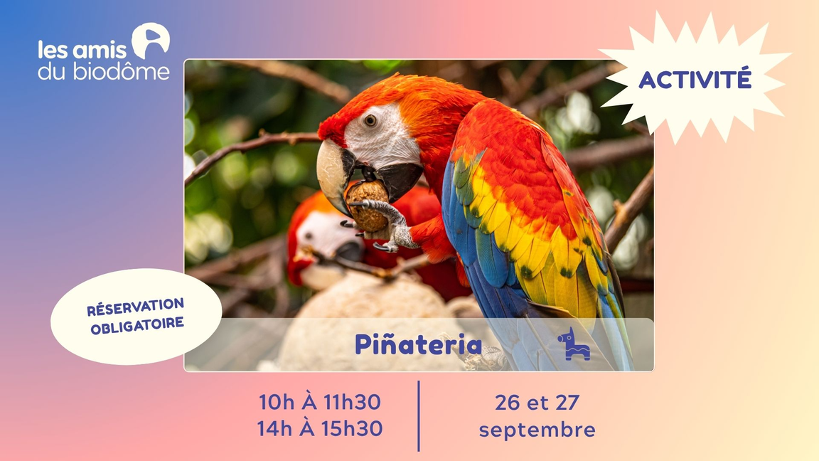 La Piñateria - 26 septembre 14h à 15h30