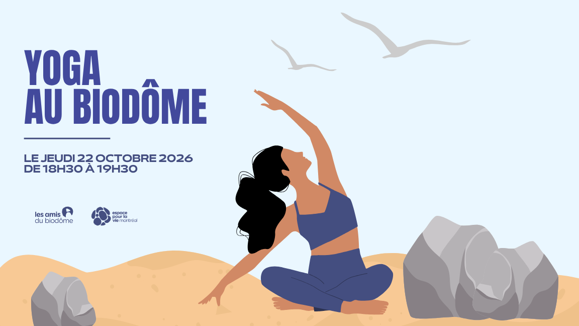 Yoga à la carte - 22 octobre 2026