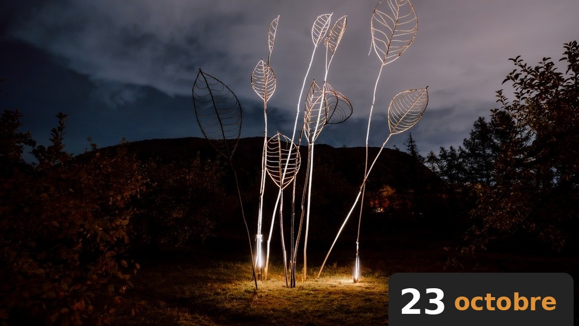 Vue nocturne - Visite guidée | Créations sur-le-champ / Land art