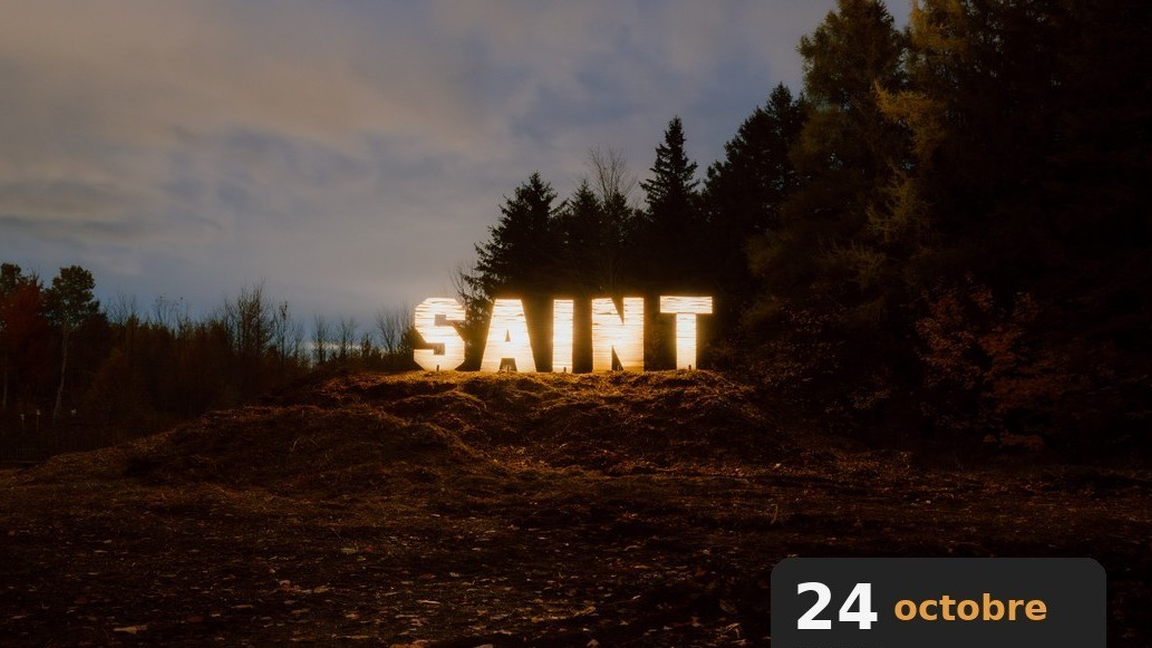 Vue nocturne - Visite guidée | Créations sur-le-champ / Land art
