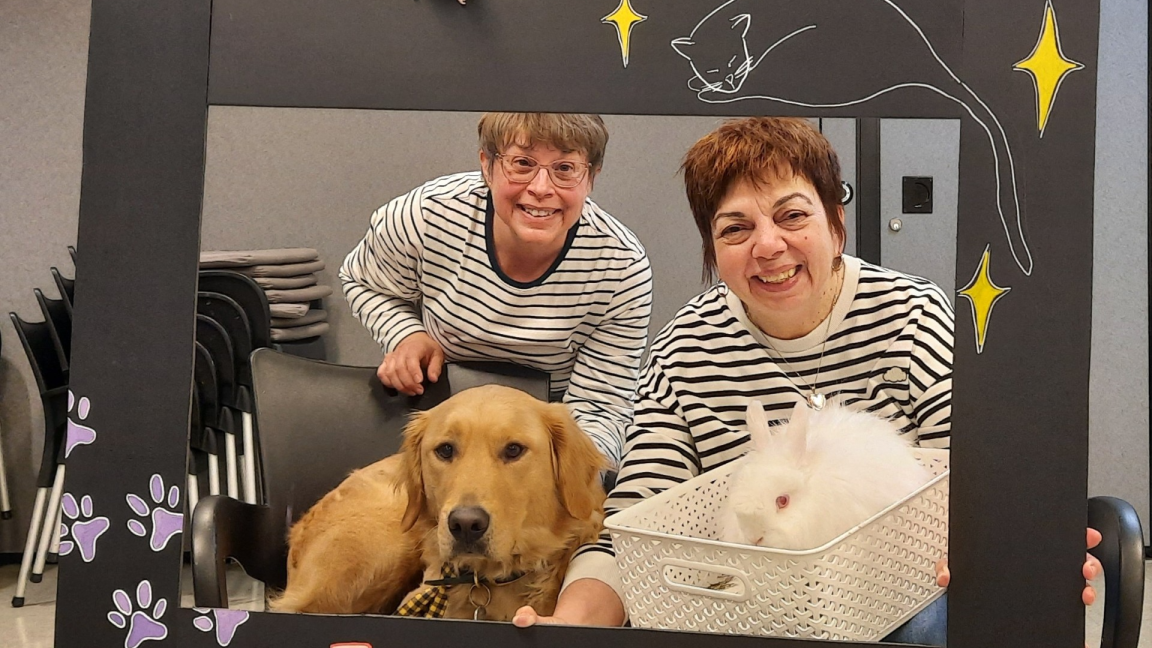 Le bien-être par la présence des animaux