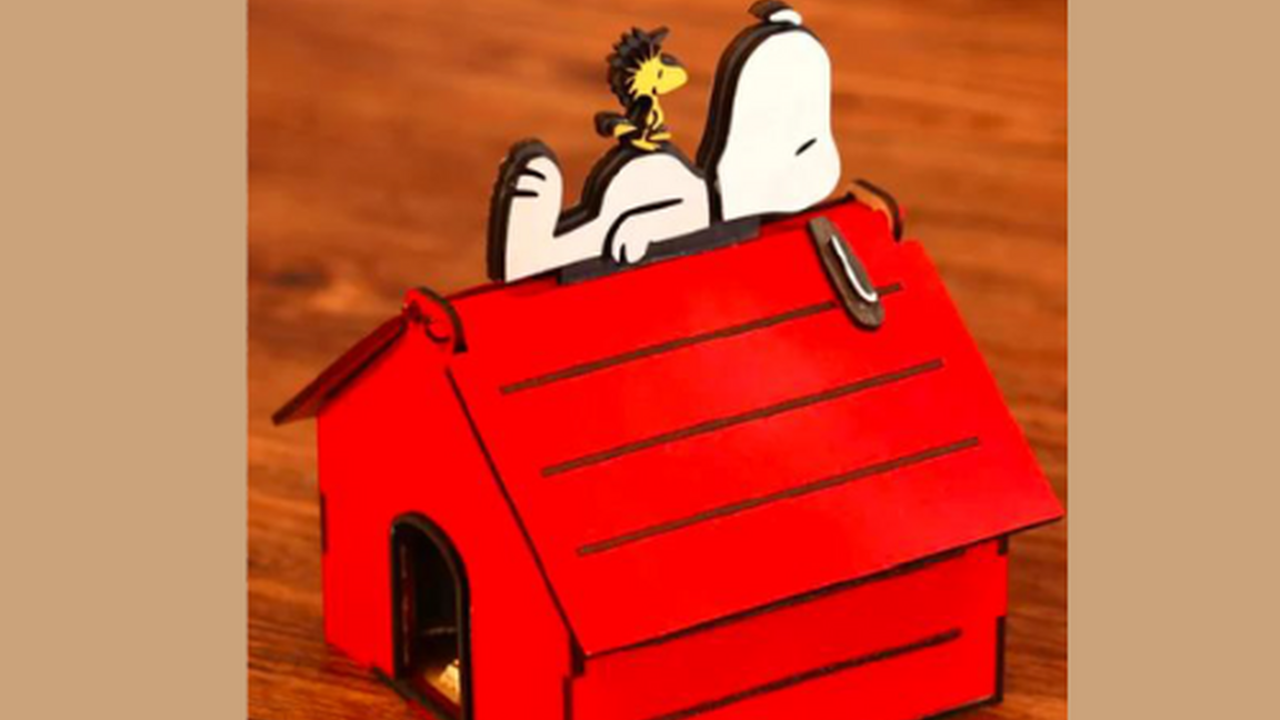 Boîte de Snoopy (6-14 ans)