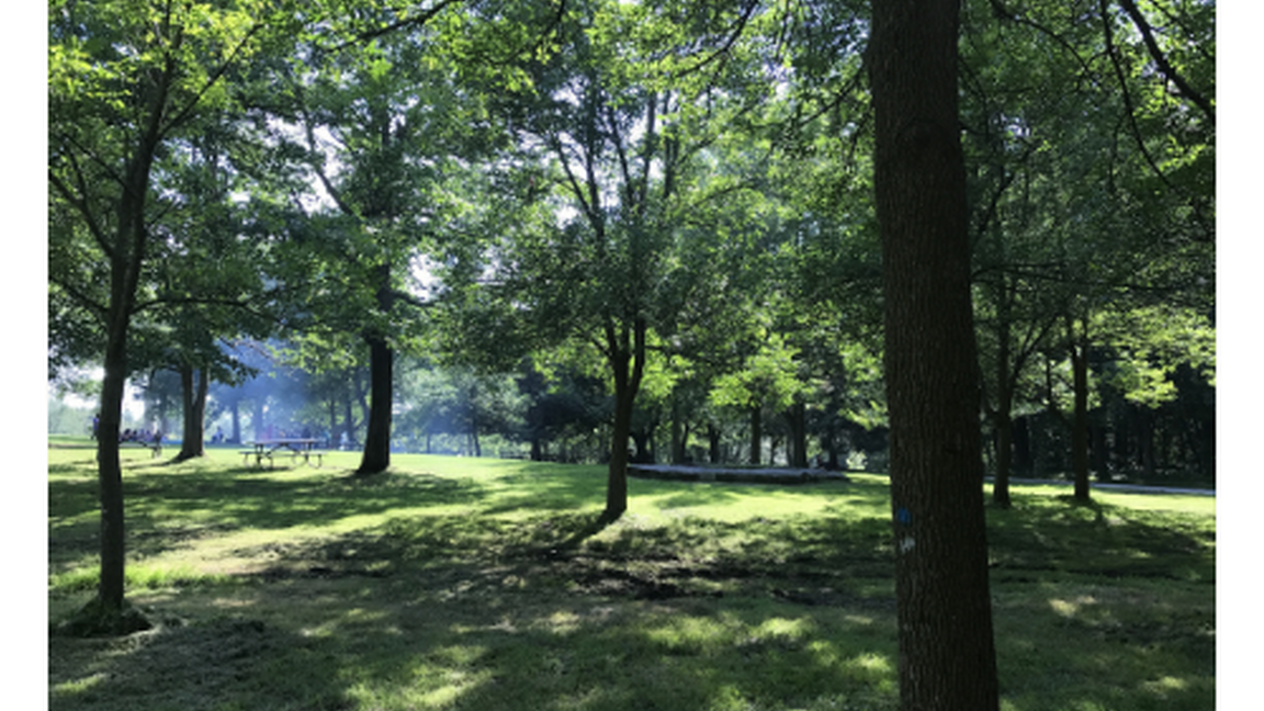Trois grands parcs de Montréal